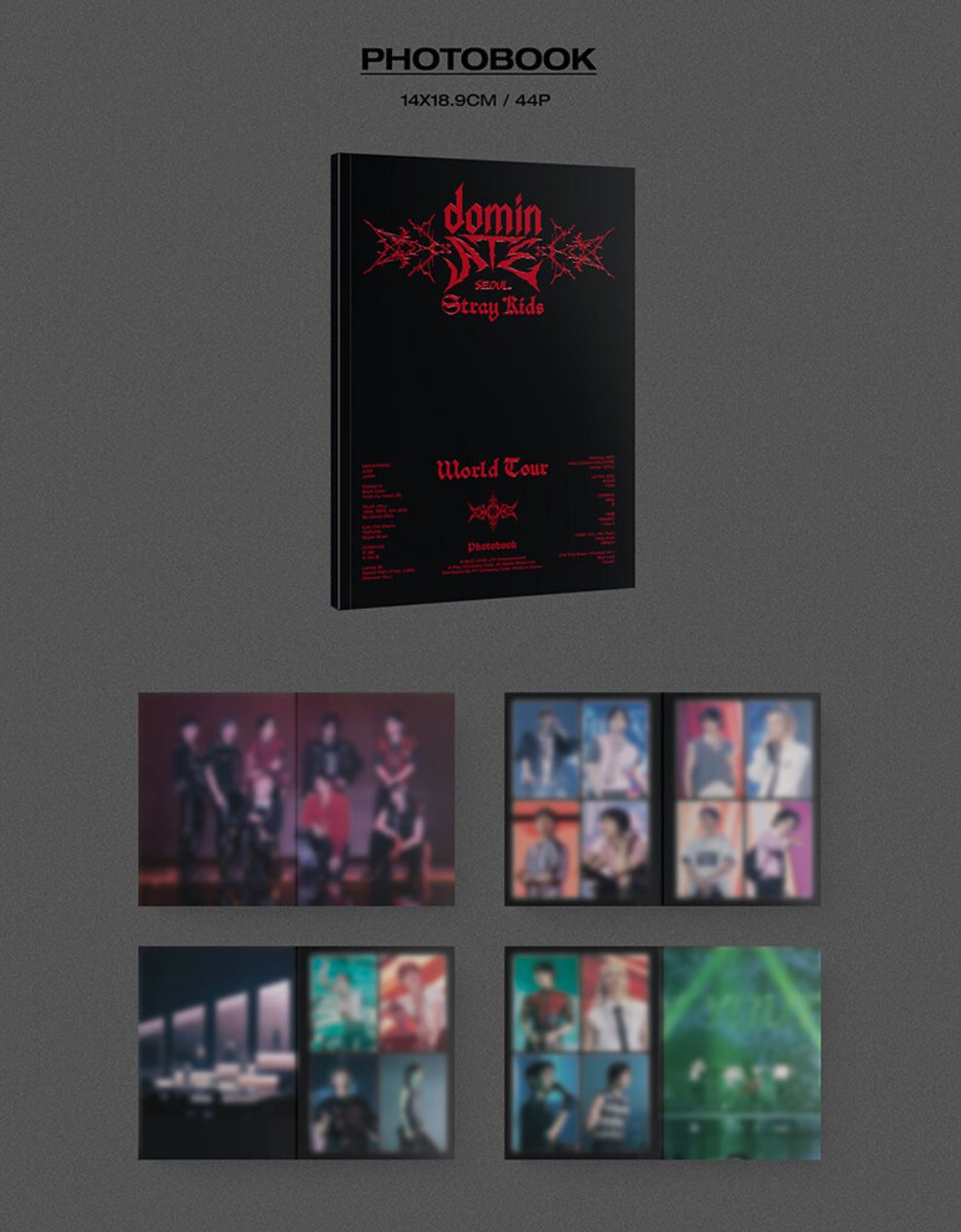 STRAY KIDS - WORLD TOUR 'DOMINATE SEOUL' (DVD & BLU-RAY) + FANS SHOP Postcard Set Nolae