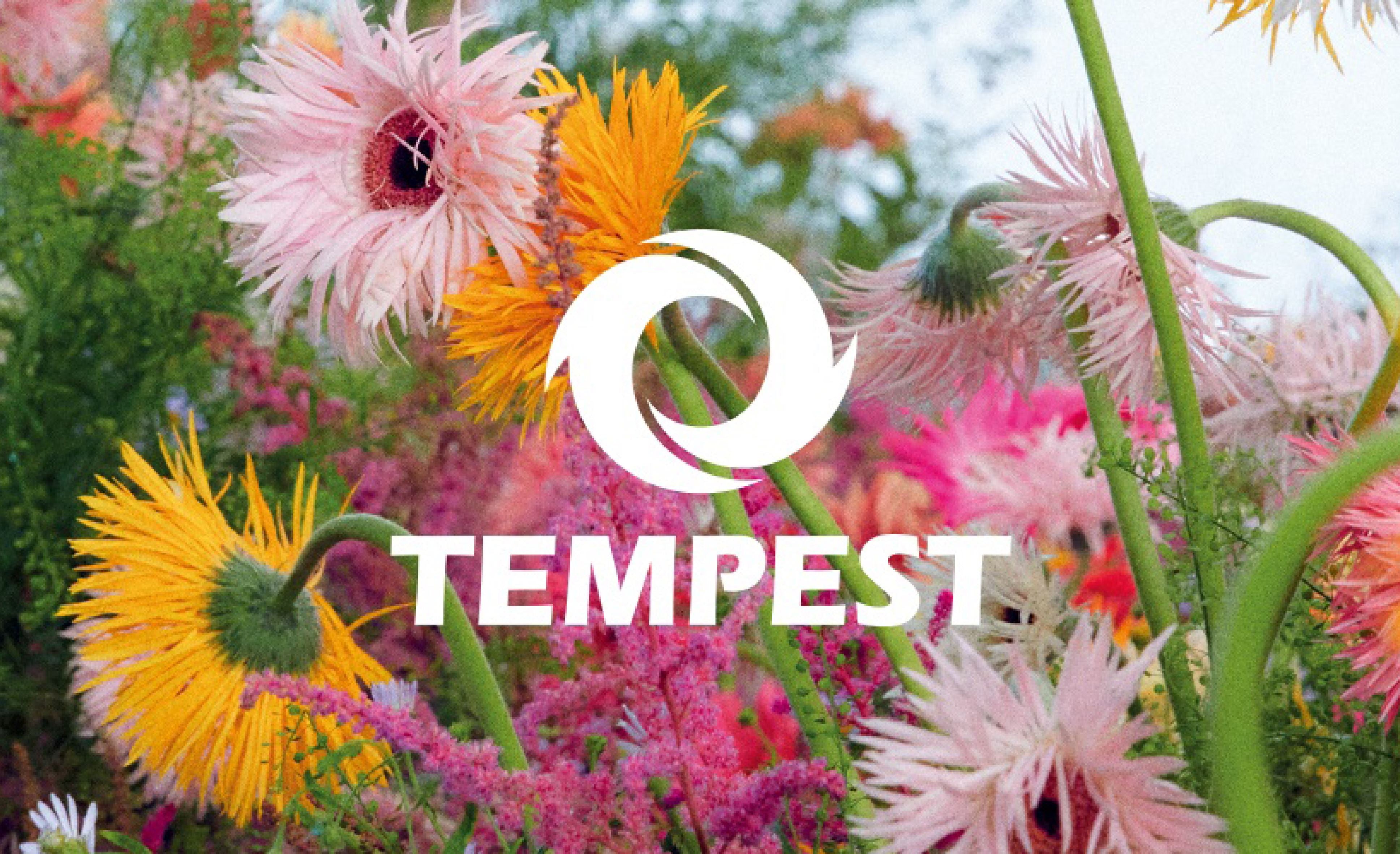 Tempest feiern ihr erstes Comeback mit “Shining Up”!