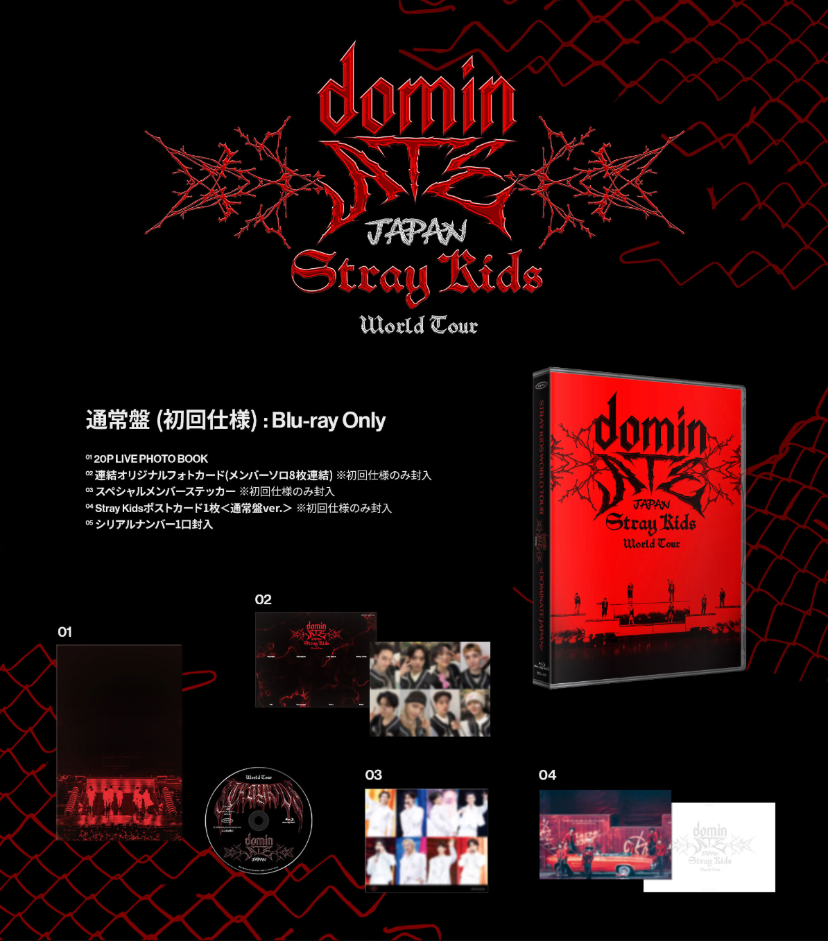 STRAY KIDS - WORLD TOUR 'DOMINATE JAPAN' (BLU-RAY) + Tower Records Gift