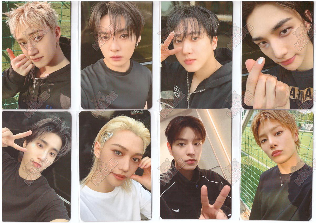 STRAY KIDS - THIS & THAT - CARTE PHOTO ALADIN