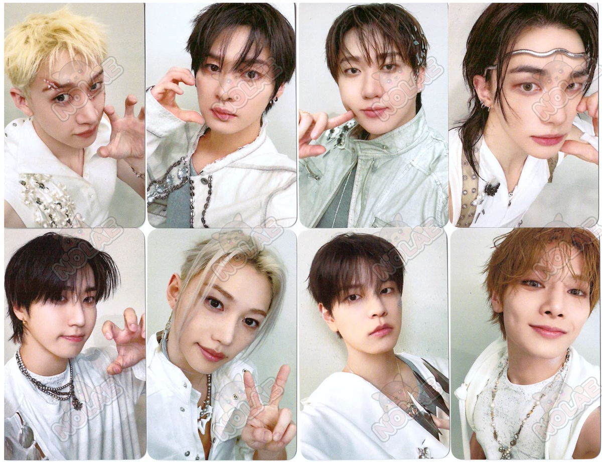 STRAY KIDS - THIS & THAT - CARTE PHOTO BDM