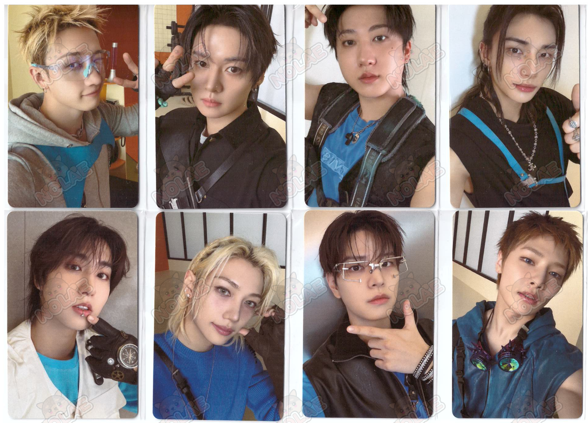 STRAY KIDS - THIS & THAT - CARTE PHOTO FANS SHOP (FANS ALBUM)