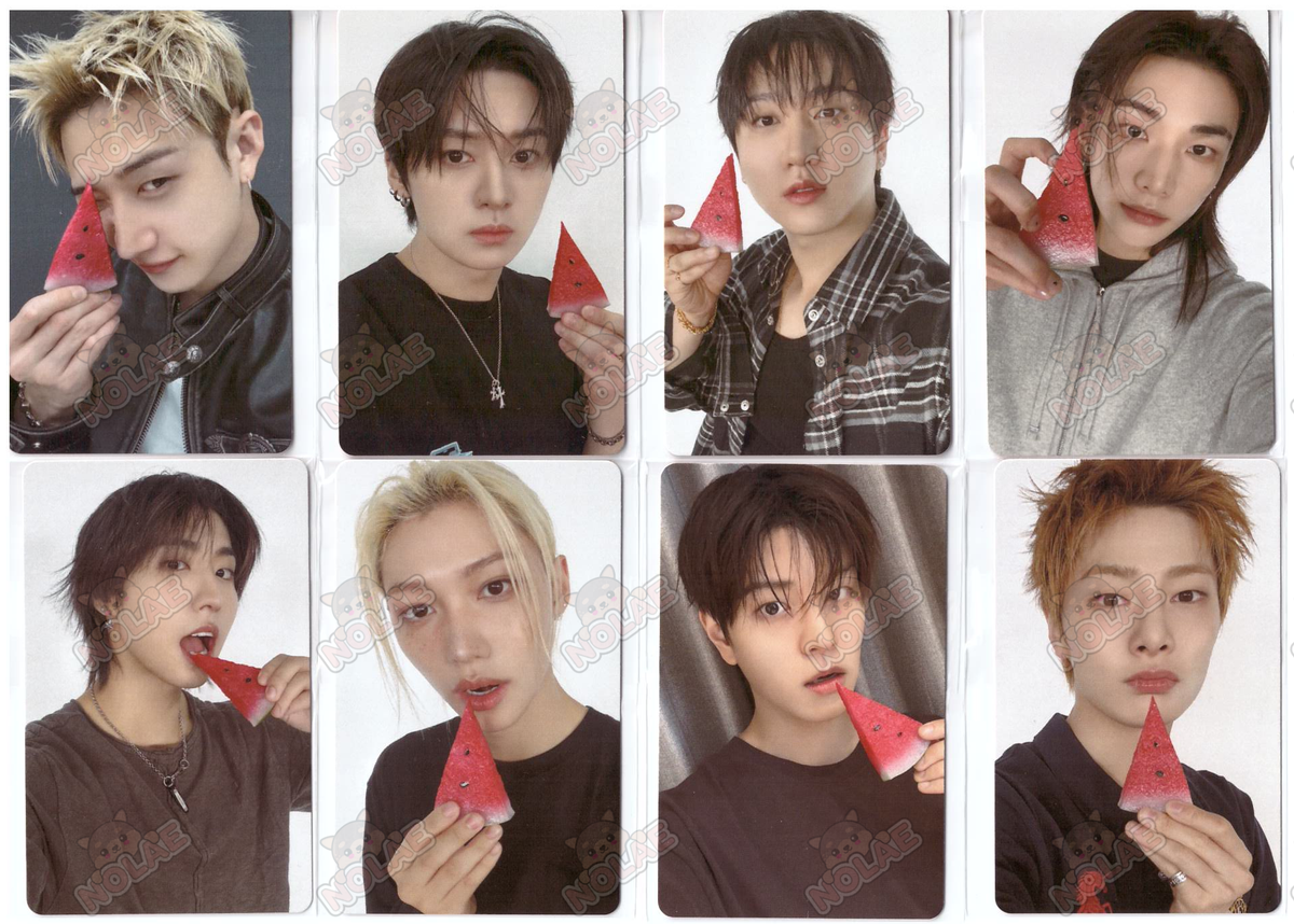 STRAY KIDS - THIS & THAT - FANS SHOP PHOTOCARD
