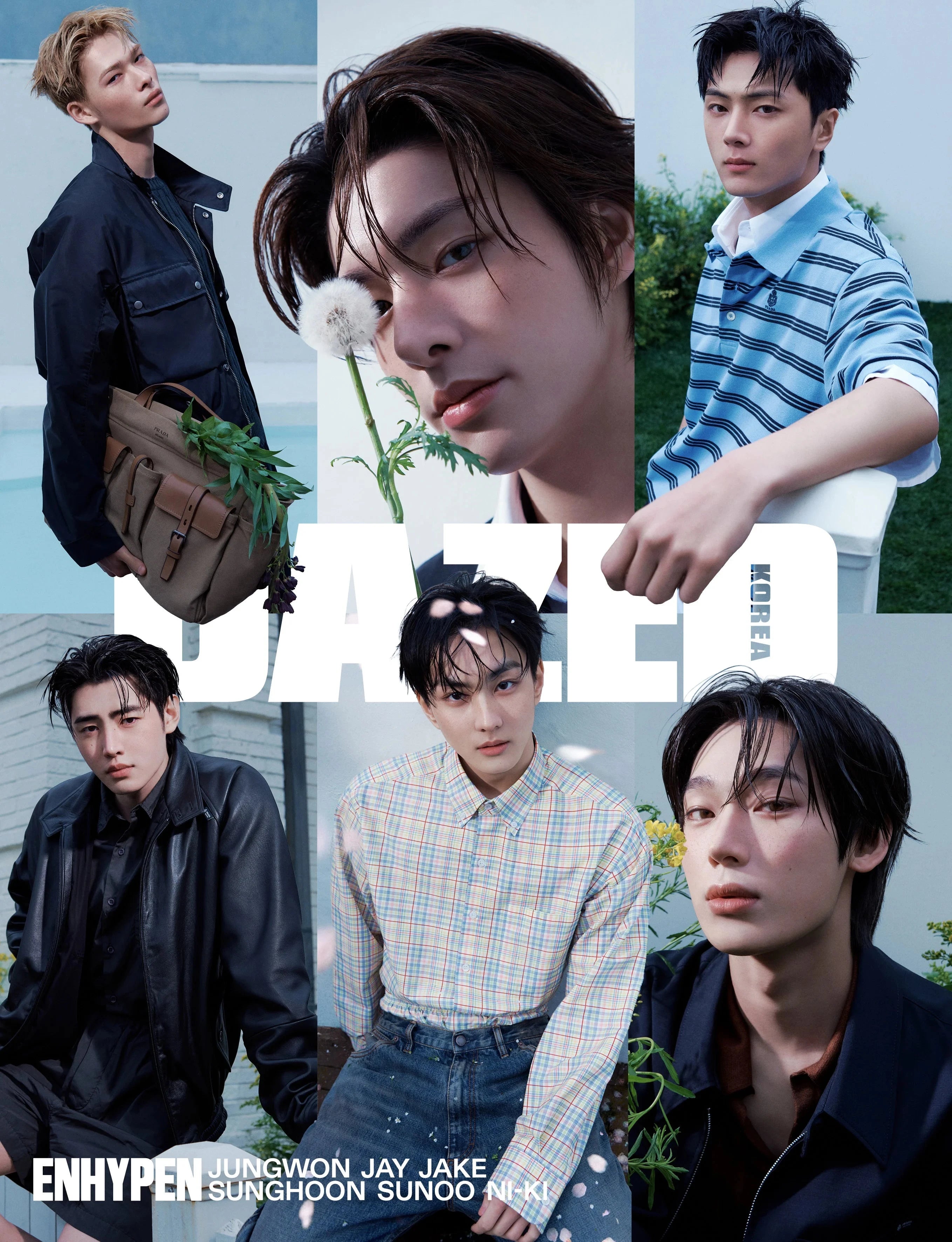ENHYPEN - DAZED (MAY 2026) Nolae