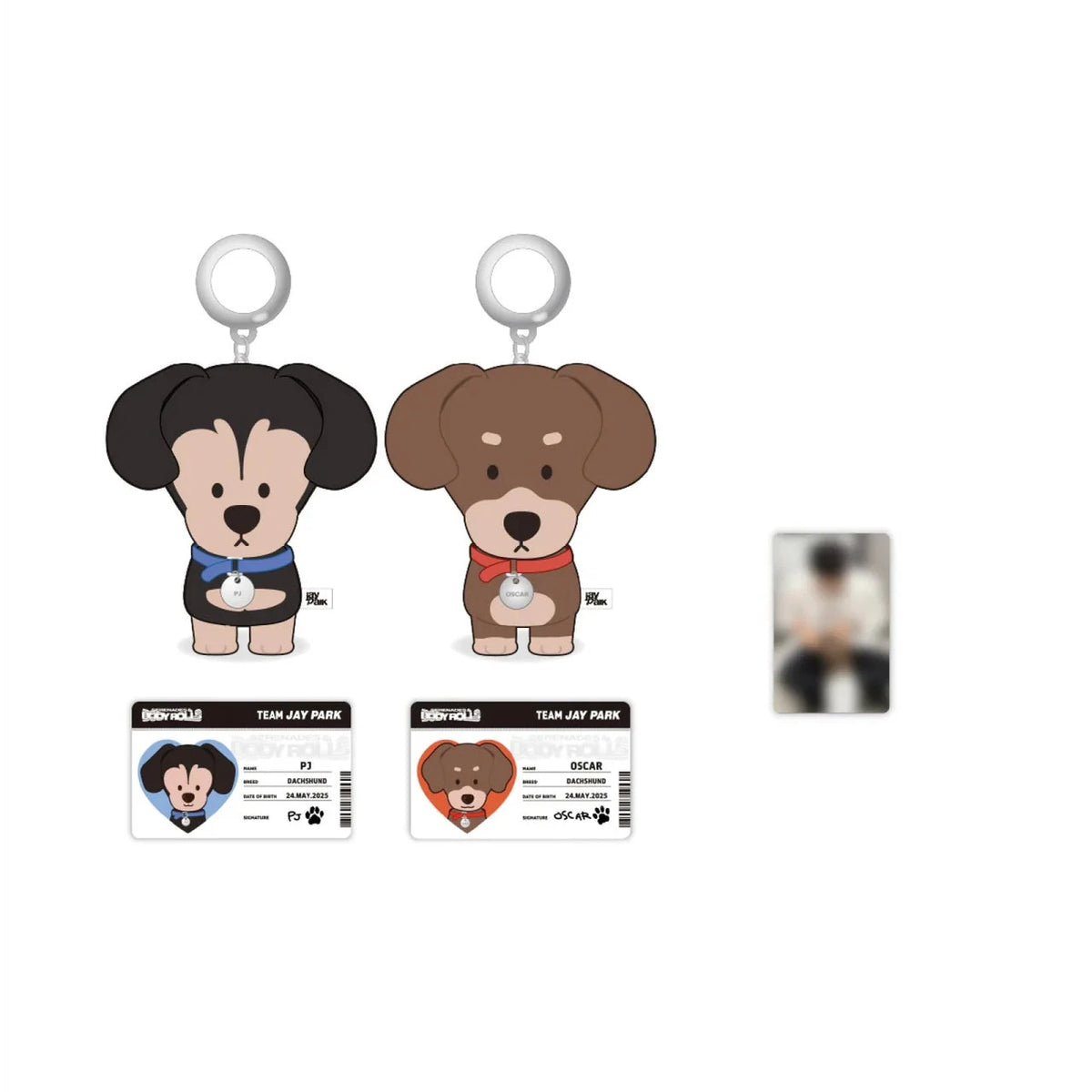 JAY PARK - 10CM DOLL (2025 WORLD TOUR 'SERENADES & BODY ROLLS IN SEOUL