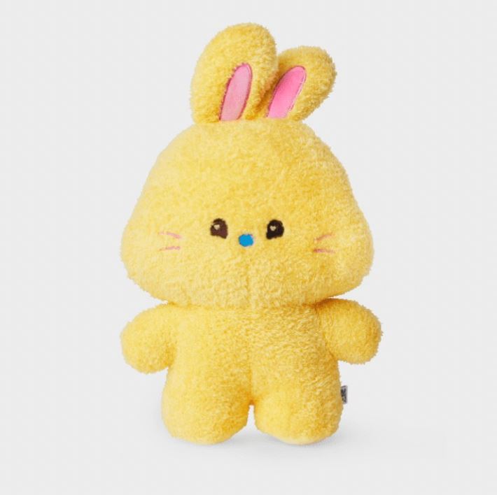 アイドル NewJeans bunini NEWJEANS bunini Medium sized Doll – SOOJIB