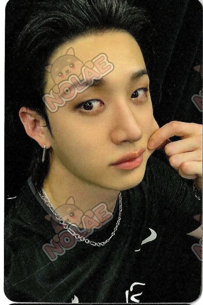 STRAY KIDS - KARMA - POB APPLE MUSIC PHOTOCARD Nolae