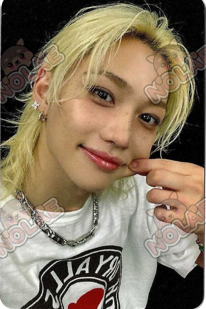 STRAY KIDS - KARMA - POB APPLE MUSIC PHOTOCARD Nolae