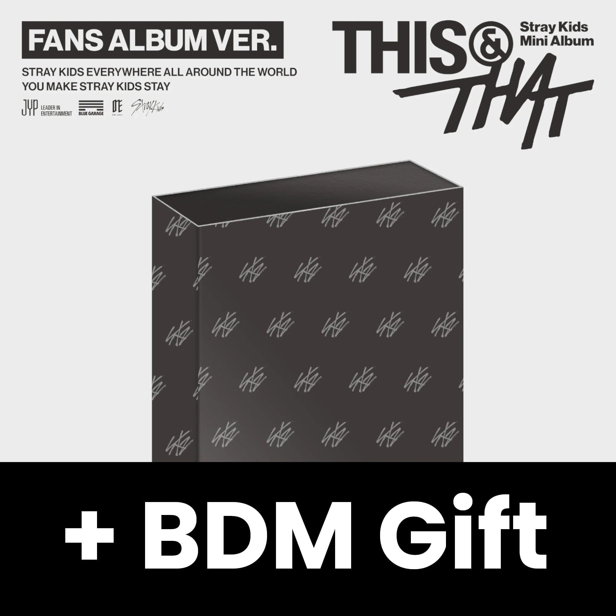 STRAY KIDS - THIS & THAT (FANS ALBUM VER.) + BDM Gift Nolae