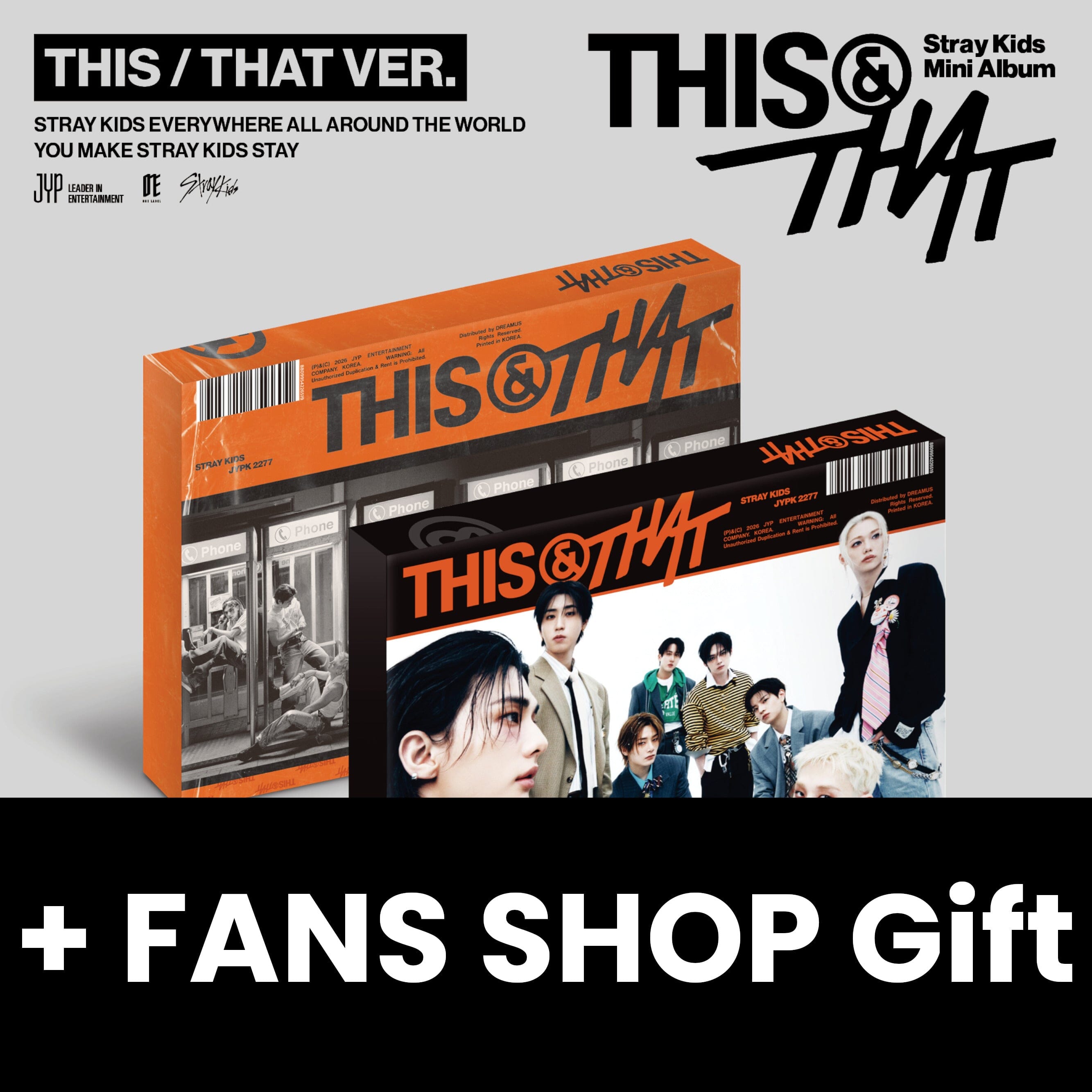 STRAY KIDS - THIS & THAT + FANS SHOP Gift
