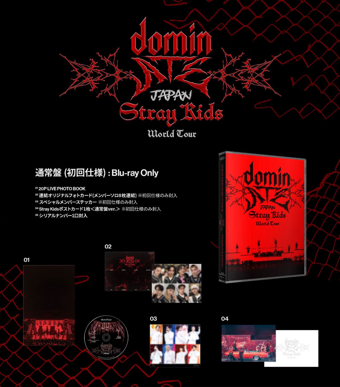 STRAY KIDS - WORLD TOUR 'DOMINATE JAPAN' (BLU-RAY) Nolae