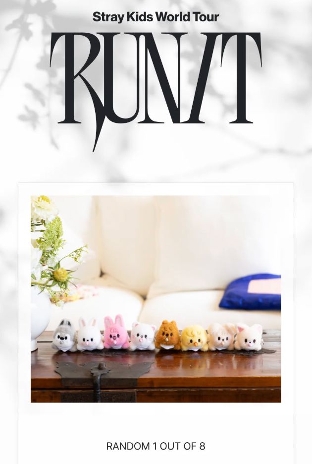 Buy Stray Kids THIS & THAT Album – & Ver.