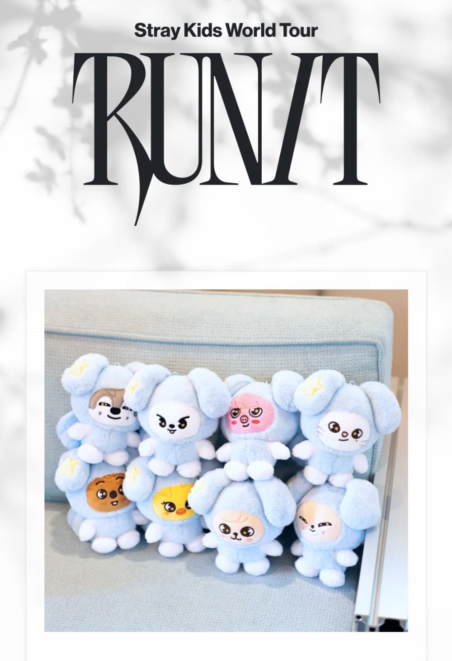 Buy Stray Kids THIS & THAT Album – & Ver.