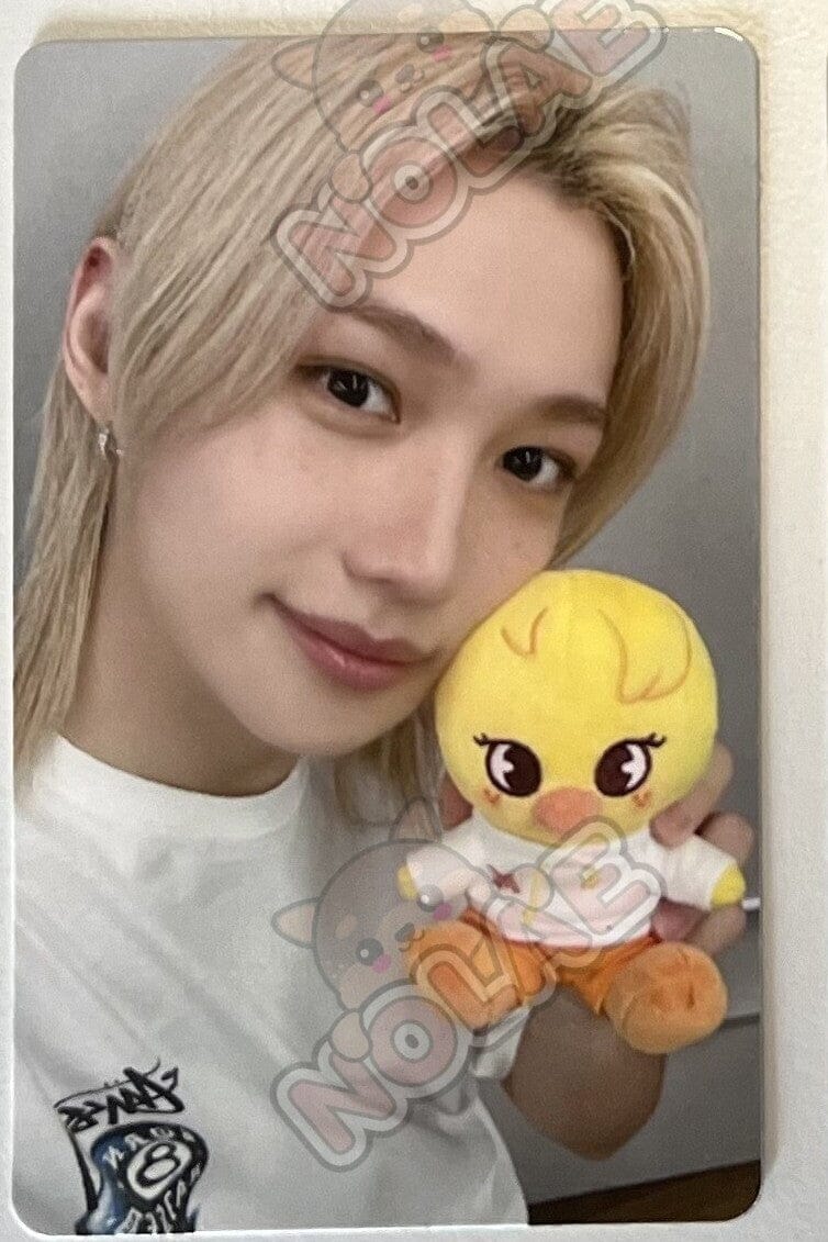 STRAY KIDS - ZOOTOPIA MD POB PHOTOCARD Nolae
