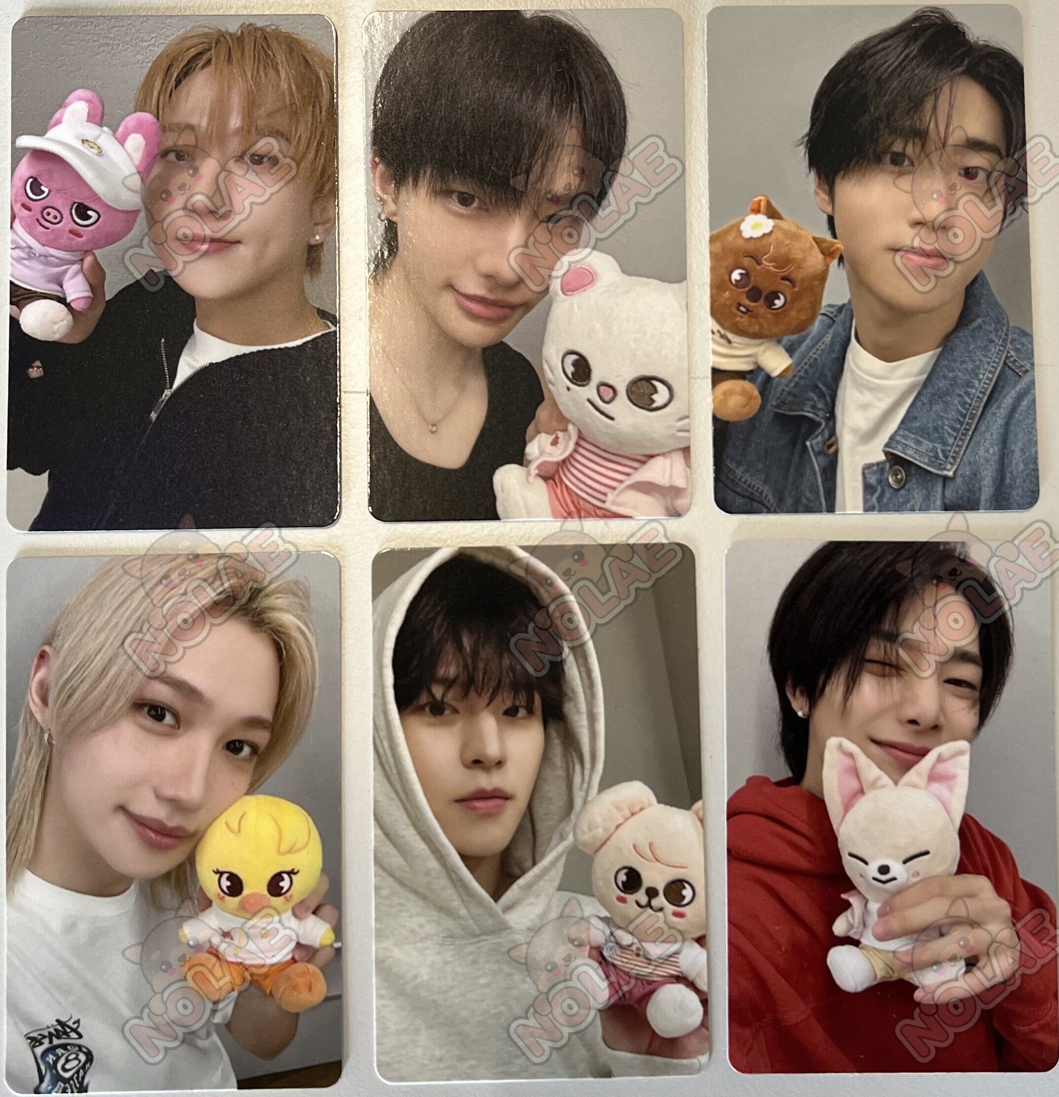 STRAY KIDS - ZOOTOPIA MD POB PHOTOCARD Nolae