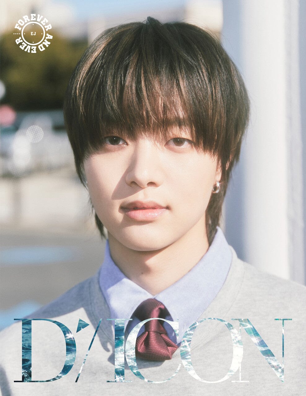 &TEAM - DICON VOLUME N°28 Nolae