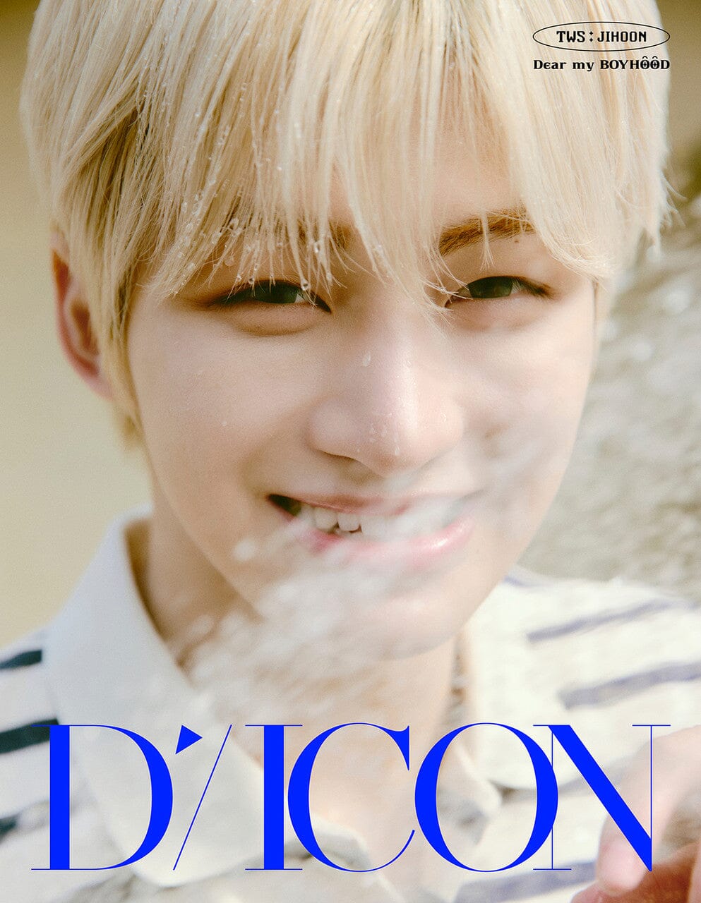 TWS - DICON (VOLUME N°34) Nolae