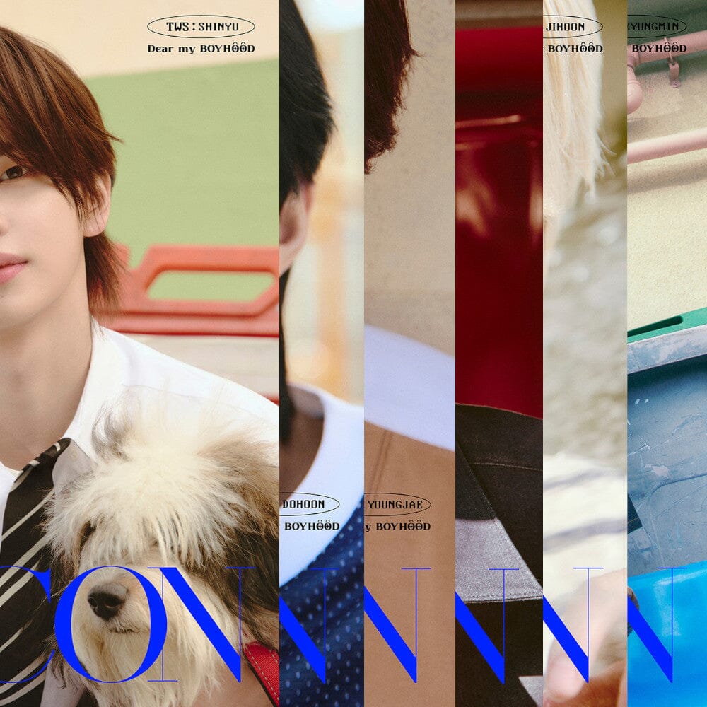 TWS - DICON (VOLUME N°34) Nolae