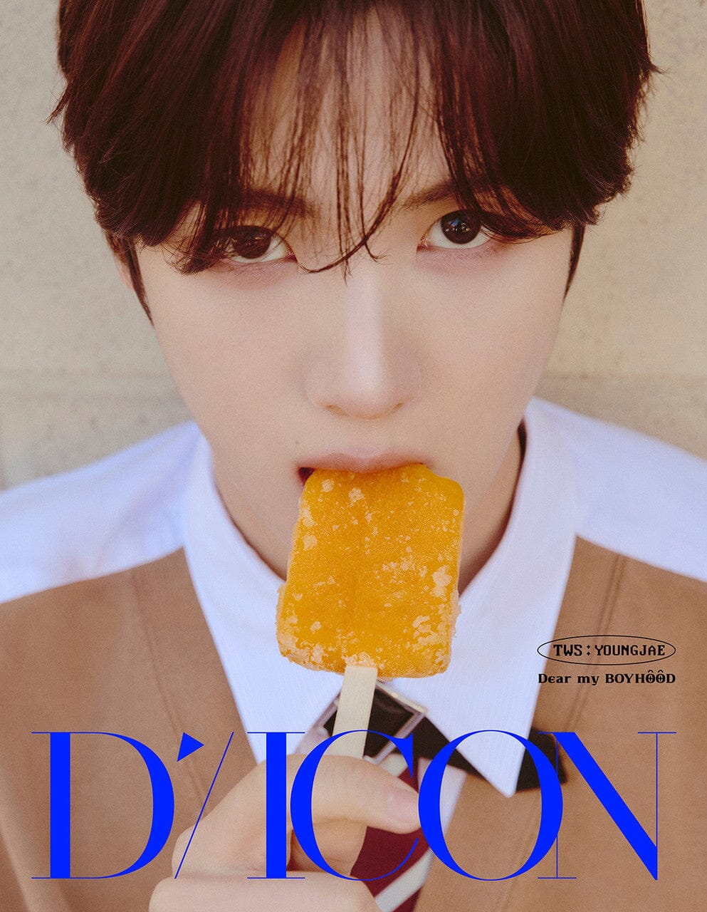 TWS - DICON (VOLUME N°34) Nolae
