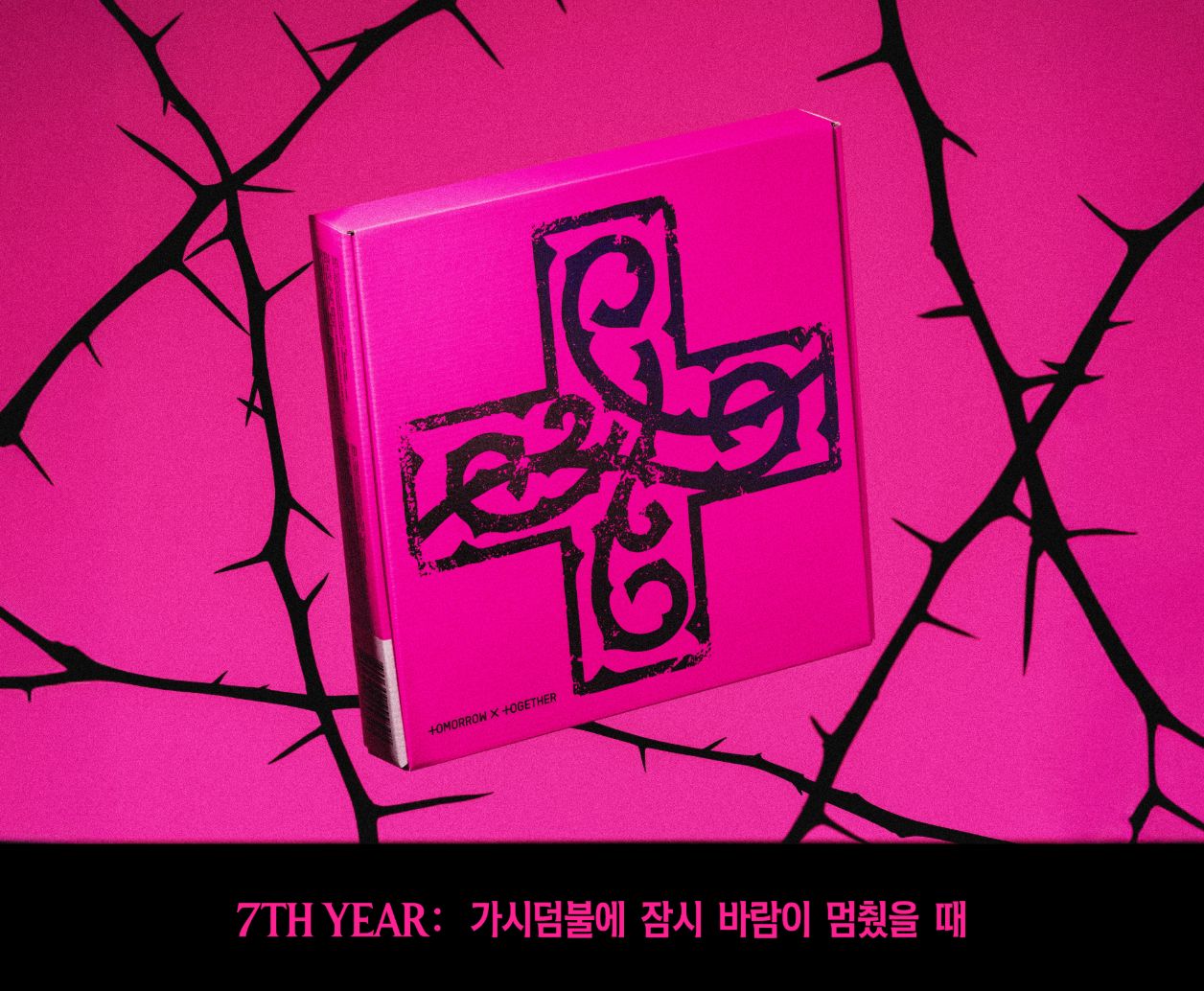 TXT - 7TH YEAR: WHEN THE WIND PAUSED AMONG THE THORNS (CUSHION OF THORNS VER.) Nolae