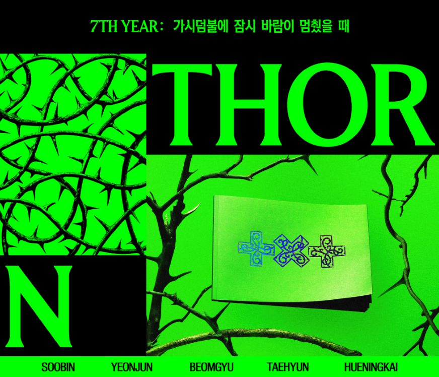 TXT - 7TH YEAR: WHEN THE WIND PAUSED AMONG THE THORNS (THORN VER.) + Apple Music Gift Nolae