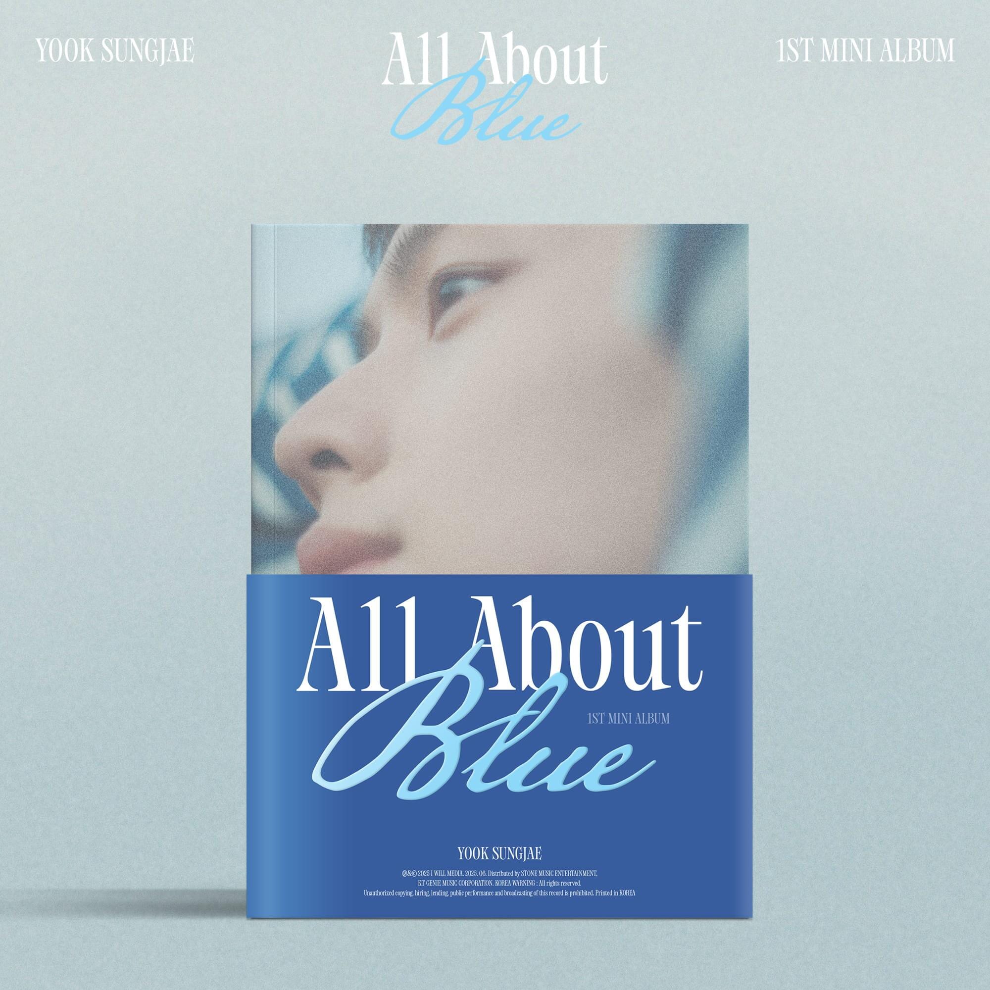 YOOK SUNGJAE (BTOB) - ALL ABOUT BLUE Nolae