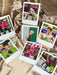 NCT 127 - Favorite Polaroid Fotokarte Nolae Kpop