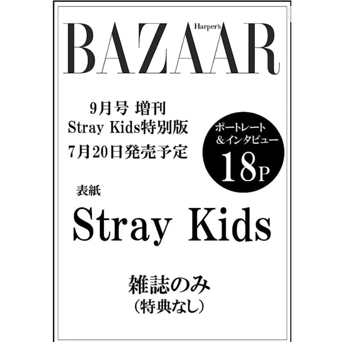 Stray Kids - ALL ABOUT Stray Kids (Magazine) — Nolae