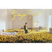 SUHO - GREY SUIT (2nd Mini Album) - Poster Nolae Kpop